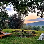 豪华帐篷 Wine Glamping Le Sedici 马萨马里蒂马