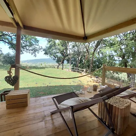 豪华帐篷 Wine Glamping Le Sedici 马萨马里蒂马