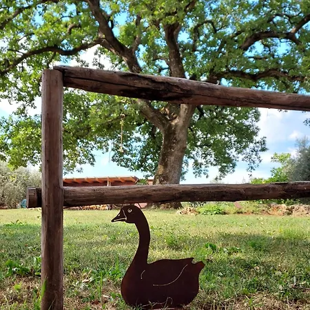 Luksustelt Wine Glamping Le Sedici *