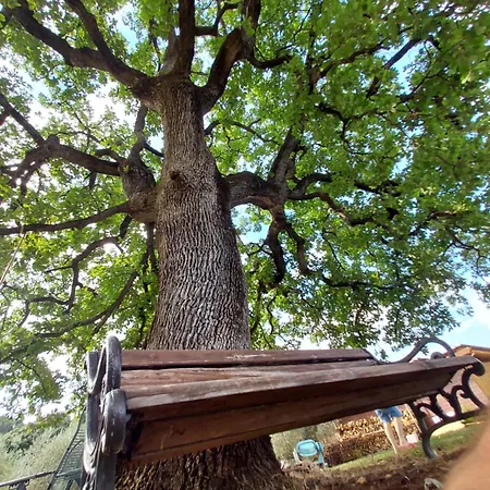 Luksustelt Wine Glamping Le Sedici Massa Marittima