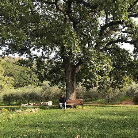 Luksustelt Wine Glamping Le Sedici Massa Marittima
