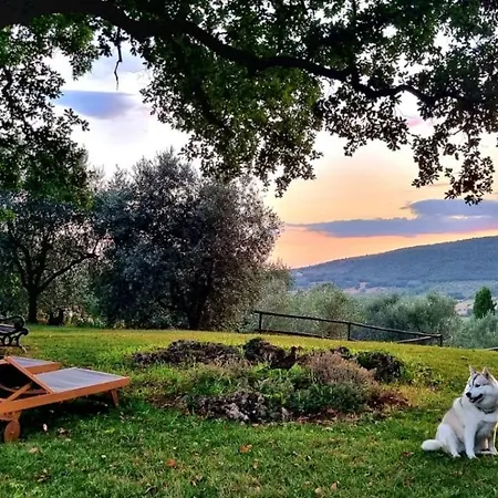 Luksustelt Wine Glamping Le Sedici Massa Marittima